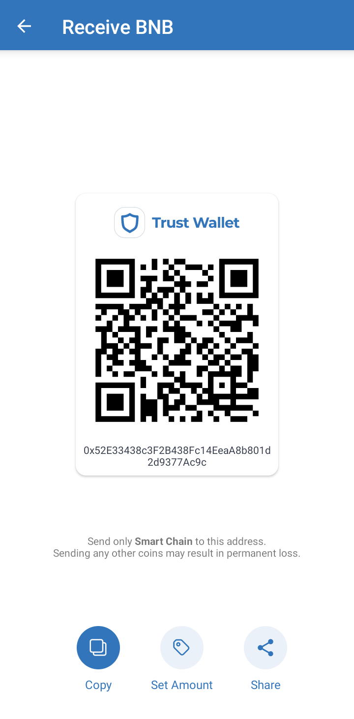 Bước 5.2 Hướng dẫn sử dụng Token BEP20 