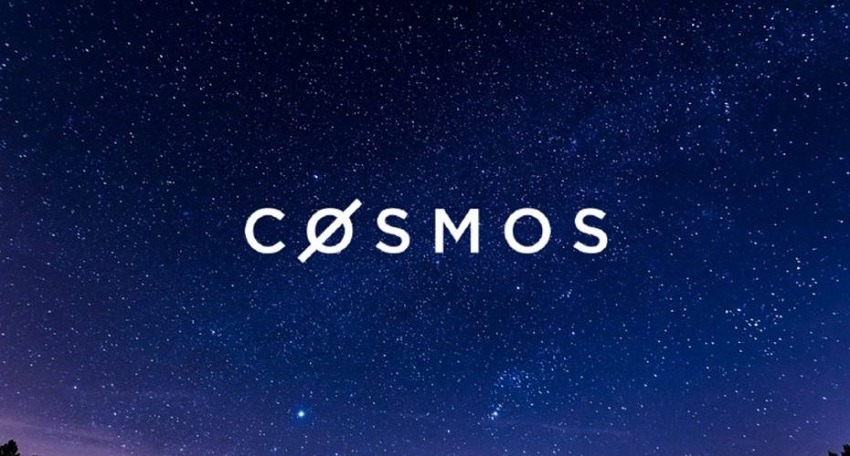 Hình 1: Cosmos là gì?