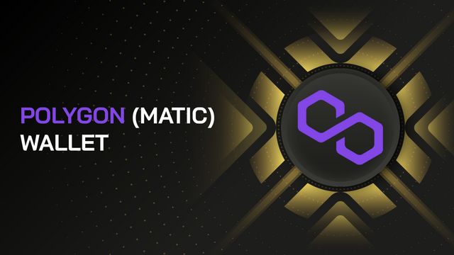 Hình 5: ví lưu trữ polygon