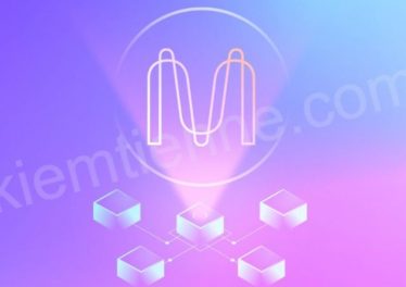 MINA là gì? Đánh giá Mina Protocol (Mina). Có nên đầu tư Mina?